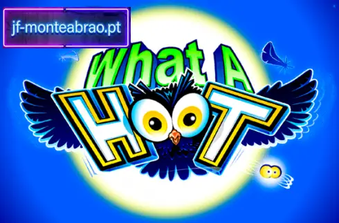What a Hoot slot machine theme